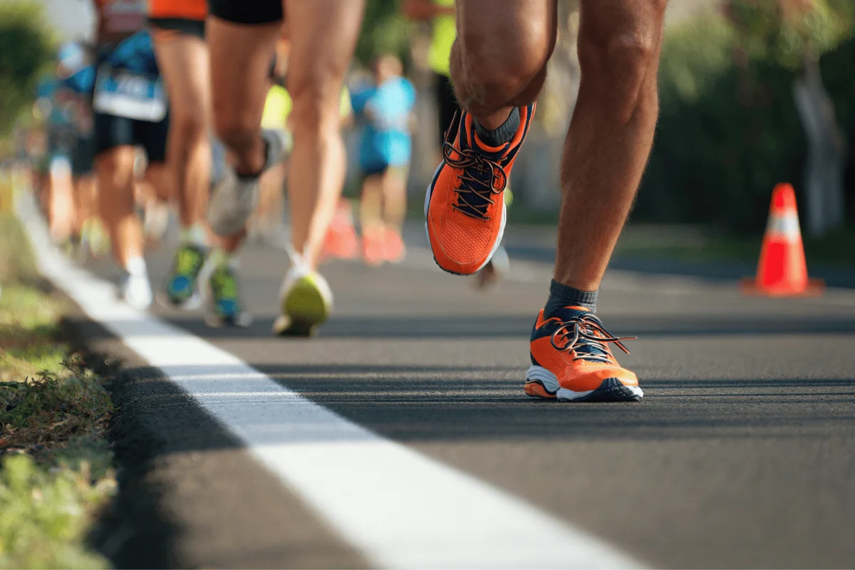 Marathon Zeeuws-Vlaanderen