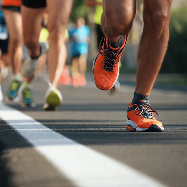 Marathon Zeeuws-Vlaanderen