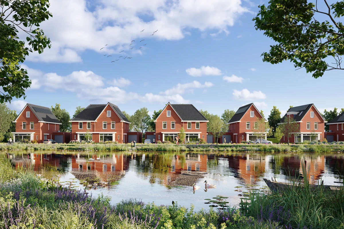 Ontdek Kraanvogel fase 3 tijdens kijkmoment op 7 februari