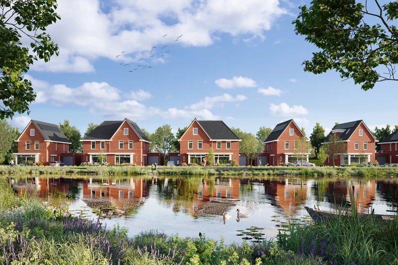 Ontdek Kraanvogel fase 3 tijdens kijkmoment op 7 februari