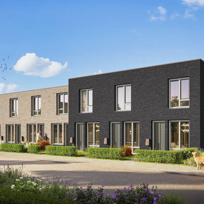 Keizersmantel - The One